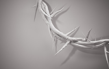Close up Crown of Thorns 3D Rendering Empty Space