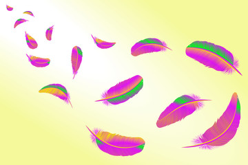 Feathers vector set in a 3d style. Icons feathers isolated on a light background. Collection of silhouettes of feathers. Simple icons feathers as elements for design.