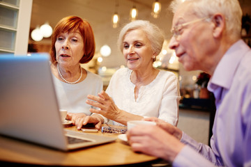 Mature companions sitting in cafe in front of laptop