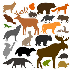Collection of  colored silhouettes of forest wild animals