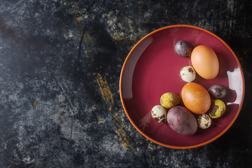 Multi-colored easter eggs. Chicken, quail. Dark background. Spri