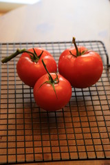 Tomato 