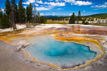 Yellowstone