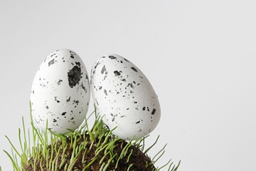 Two white easter eggs with black patches on round grassy surface made of vermiculite mineral