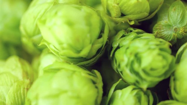 High quality video of rotating hops in 4K