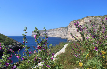 Cliffs of Xlendi, Gozo, Republic of Malta