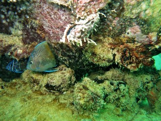 Travel is a life time experience, appreciate every little thing because its matter....!!