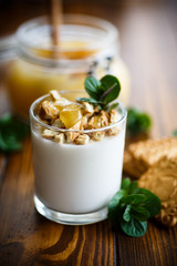 Greek yoghurt with honey and biscuits