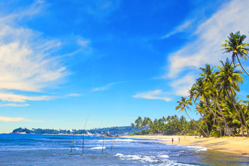 Beautiful view of the beach of Sri Lanka on a sunny day
