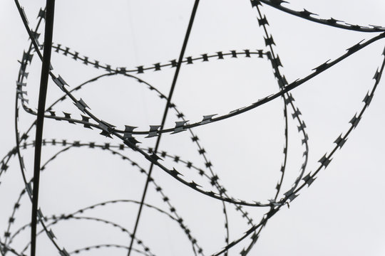 Barbed wire on dark fence. Silhouette photo