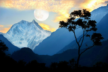 A lonely tree against the background of the Himalayan mountains and the evening sky. Lunar landscape. Nepal. - obrazy, fototapety, plakaty
