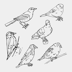 Birds engraved style. Stamp, seal. Simple sketch.