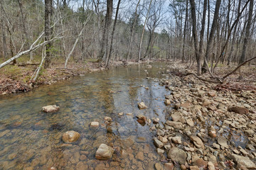 Trees with no leaves along rocky creek with clear cold water ripples