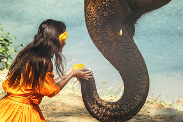 Woman in beautiful orange dress and elephant