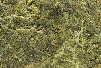 texture of marijuana for background