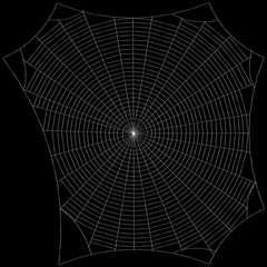 Spiderweb. Isolated on black background. Sketch illustration.