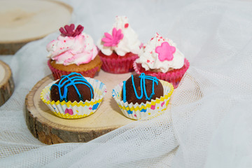 tasty and sweet cupcakes