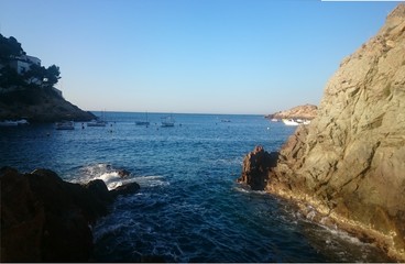paradise