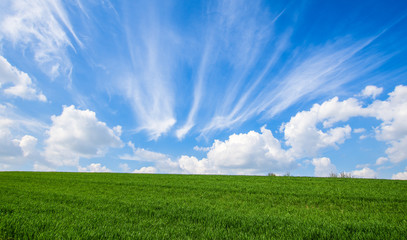 Lawn and clouds landascape