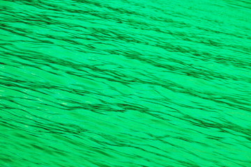 Grünes Wasser