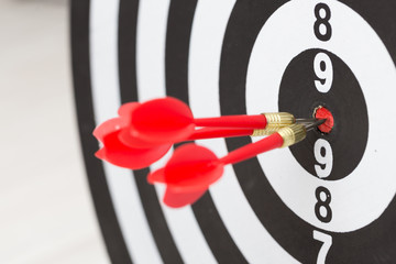 Arrows hitting the center of a target board, concept of partnership