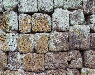 Laterite brick with the lichen.