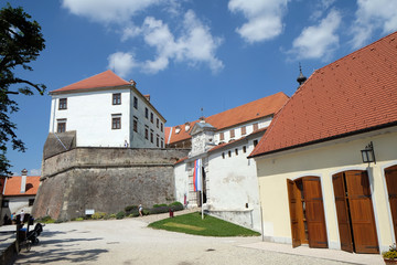 Castle in Ptuj, town on the Drava River banks, Lower Styria Region, Slovenia