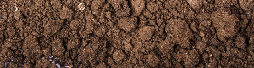 Fototapeta na wymiar Fertile soil background