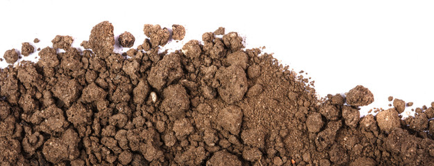 Fertile soil on a white background