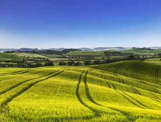 Fototapeta na wymiar Rural landscape of Tuscany, Italy