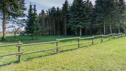 Fototapeta premium A pasture with fence and trees at sunshine