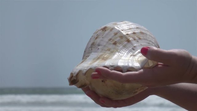  High quality video of hands holding shell by the ocean in real 1080p slow motion 250fps