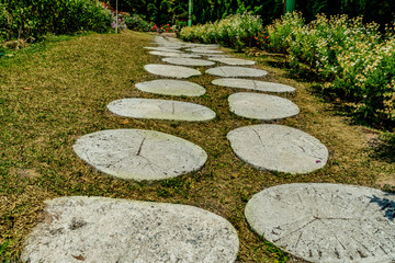 Obraz premium Concrete Pathway in garden