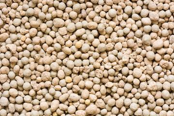 fertilizer close-up