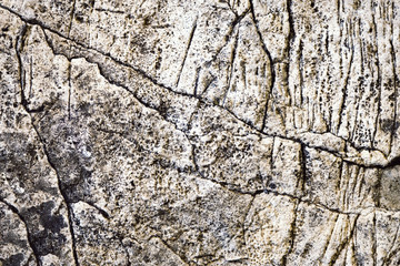 grooved limestone dirty