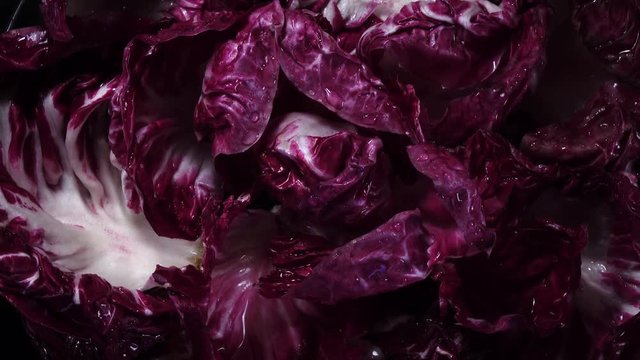 Close up of top view of wet red salad radicchio, rotating against the clock. Flat lay purple background with amazing texture in 4k clip. Fresh vegetable for diet meal. Eco product for healthy food.