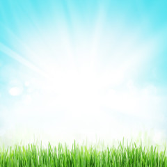 Abstract sunny spring background