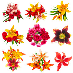 Collection lilies flowers and roses