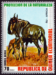 Postage stamp Equatorial Guinea 1974 Blue Wildebeest, Animal