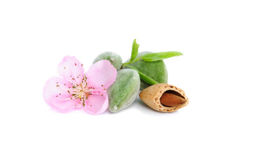 Fototapeta na wymiar Fresh green almonds with flower and nut
