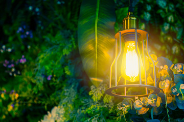lamp in the forest green plant background, Jungle interior cafe decoration.