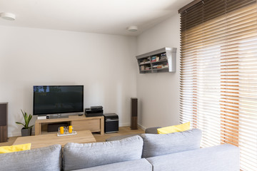 Cosy room with plasma tv