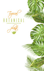 Tropical vertical banner © purplebird