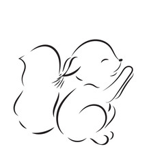 Coloring page. Vector black outline cute squirrel on white background