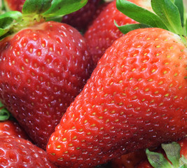 Fresas
