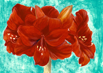 Amaryllis. Watercolor. Background image. Card.Wallpaper. Use printed materials, signs, posters, postcards, packaging.