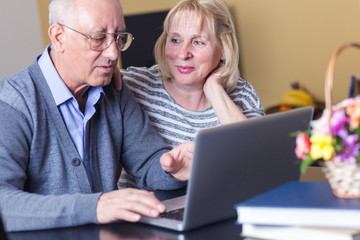 Happy senior couple using laptop at home.