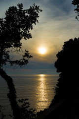 Fototapeta na wymiar The sun sets over the Adriatic sea, turning trees on the coast of Dubrovnik into silhouettes