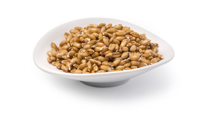 Wheat sprouts in bowl,