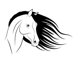 Силуэт головы лошади, логотип